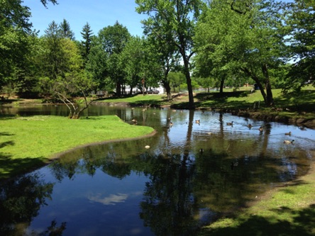 Walk across the street and enjoy Hamilton Park Walk across the street and enjoy Hamilton Park