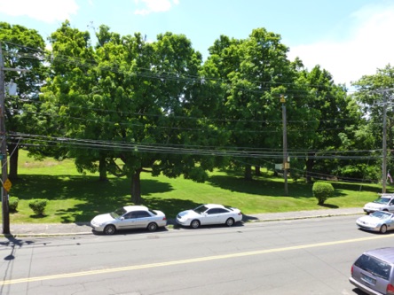 Hamilton Park across the street from your apartment Hamilton Park across the street from your apartment